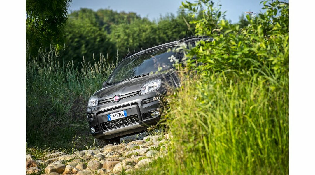 Panda 4×4