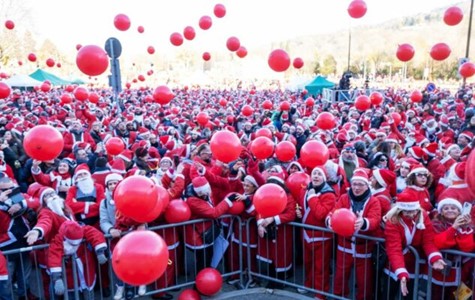 Immagine1