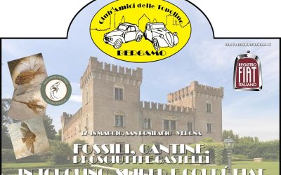 Fossili, Cantine, Prosciutti e Castelli in Topolino, Spider e Coupé
