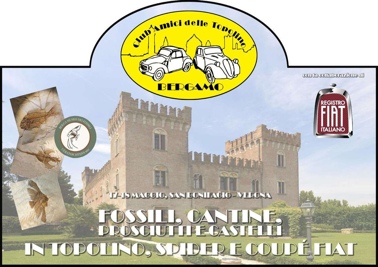 locandina targa